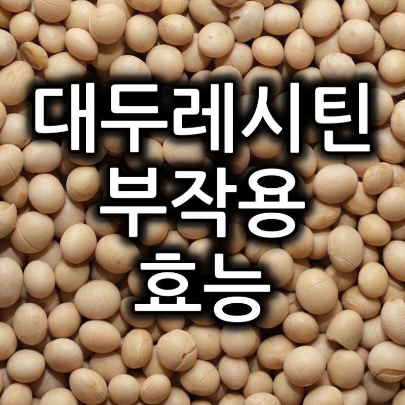 대두레시틴 부작용, 효능 등 특징 정리 1 대두레시틴 부작용