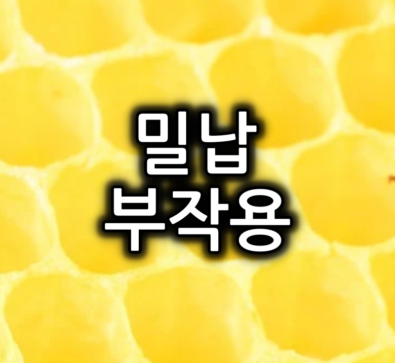 밀납 (밀랍, 비즈왁스, 백납, 황납) 부작용, 주의사항, 주요 특징 정리 1 밀납