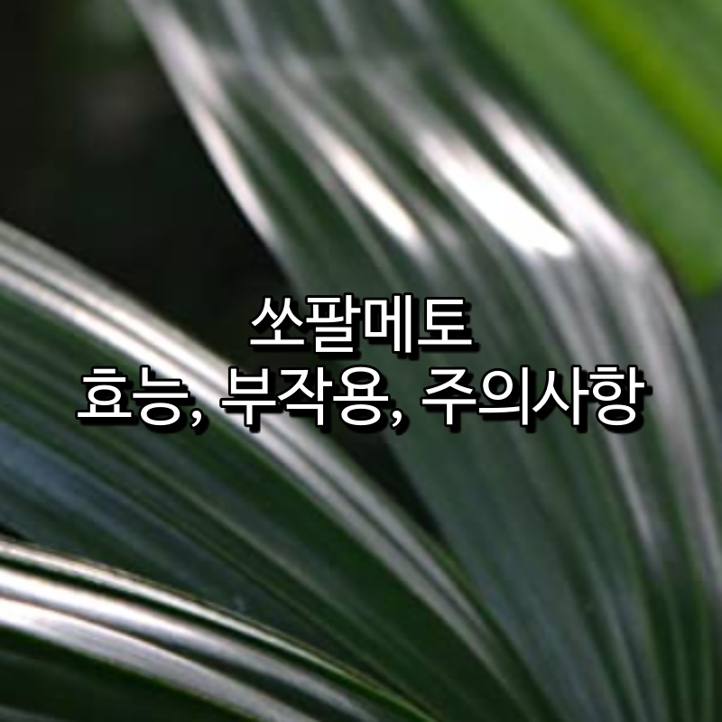 쏘팔메토 부작용