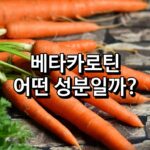 베타카로틴