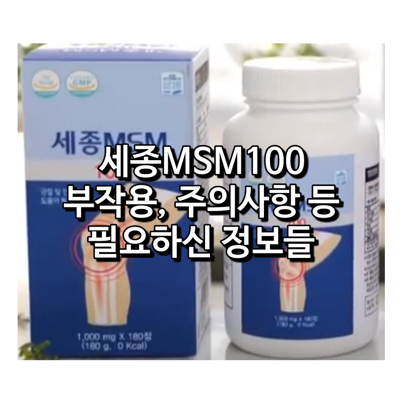 세종MSM100 부작용