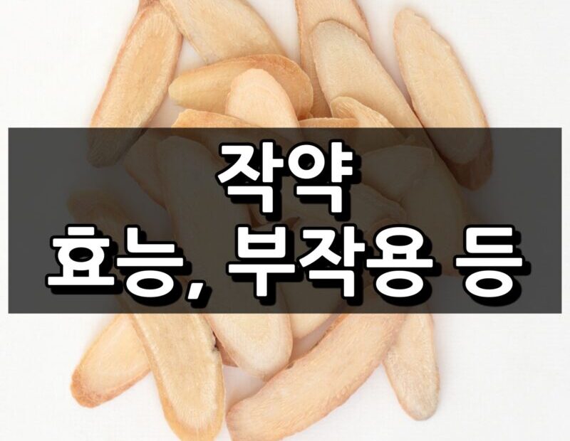 작약 섬네일