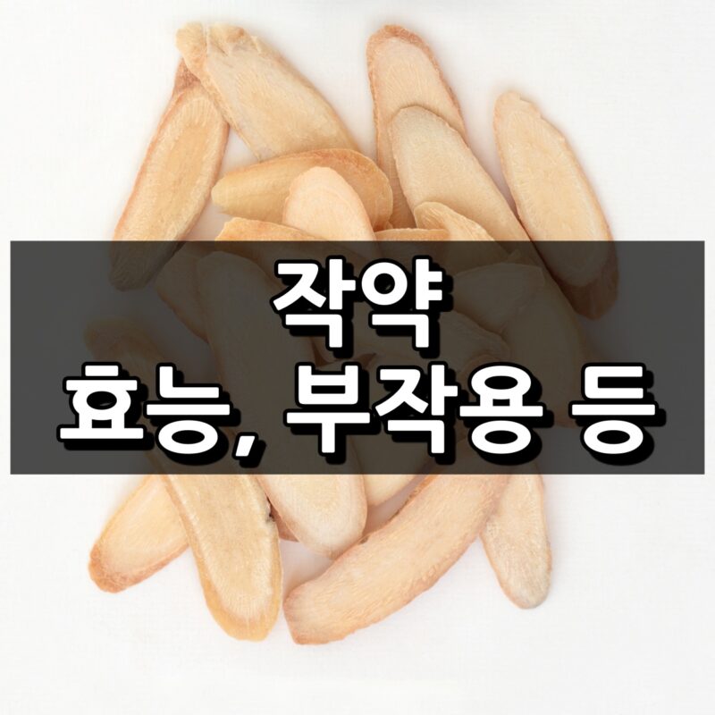 작약 섬네일