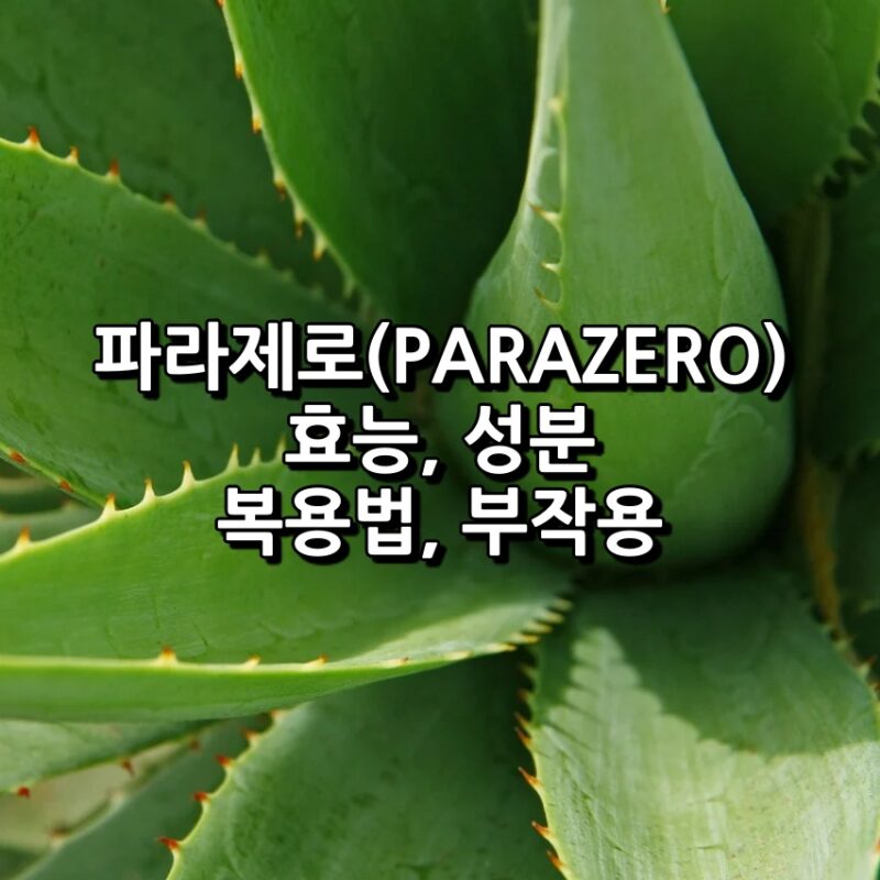 파라제로(PARAZERO) 섬네일