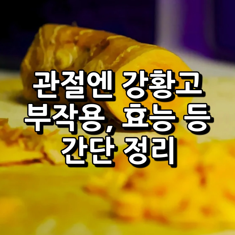 관절엔 강황고 섬네일