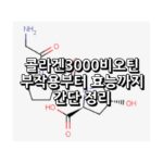 콜라겐3000비오틴