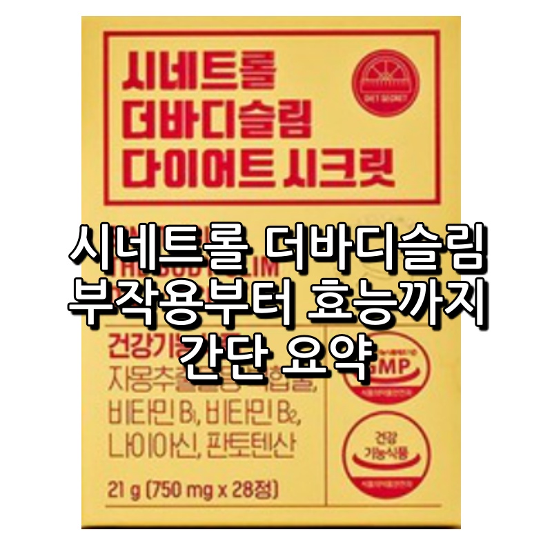 시네트롤 더바디슬림 다이어트 시크릿 핵심 요약 1 시네트롤 더바디슬림 다이어트 시크릿 섬네일