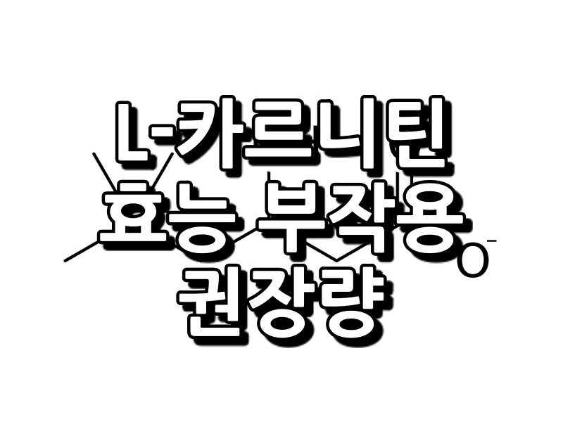 L-카르니틴 효능 부작용 권장량