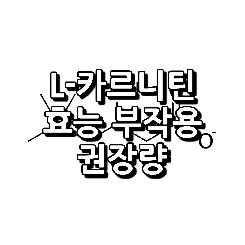 L-카르니틴 효능 부작용 권장량