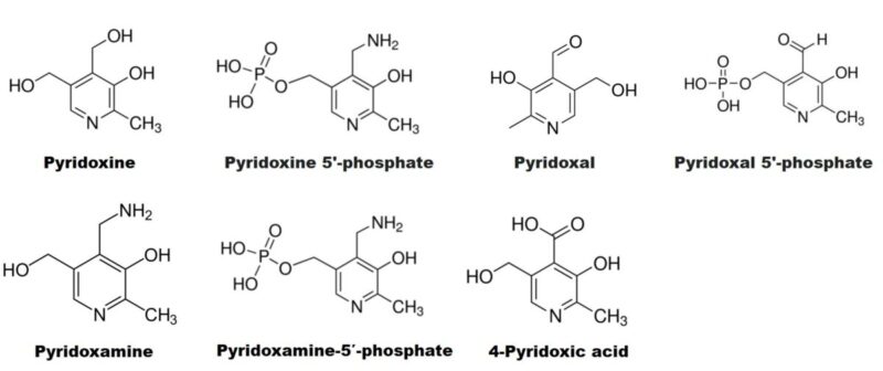 Vitamin B6 Chemical Structures