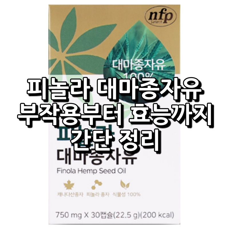 nfp 피놀라 대마종자유 섬네일