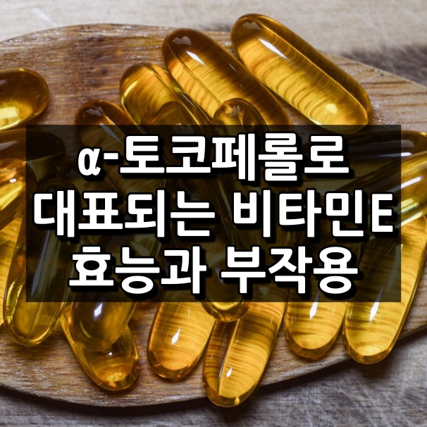 α-토코페롤 섬네일