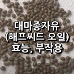 대마종자유 햄프씨드 오일 효능 부작용