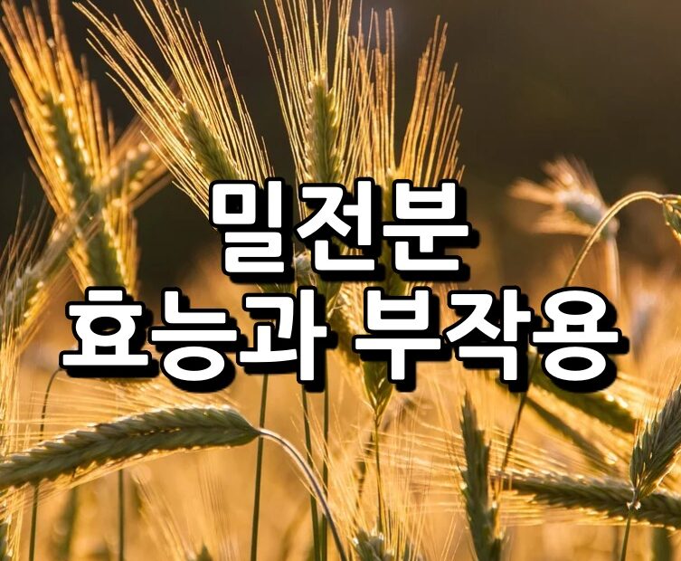 밀전분 섬네일