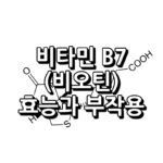 비오틴 효능 부작용 섬네일