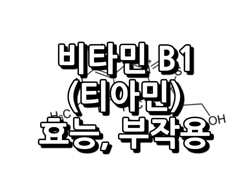 비타민 B1 티아민