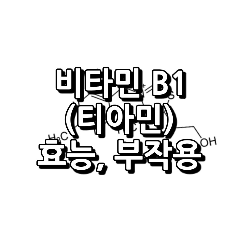 비타민 B1 (티아민) 효능 부작용