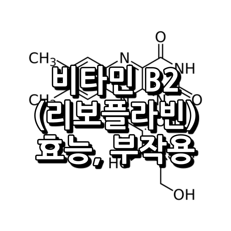 비타민 B2 효능 부작용