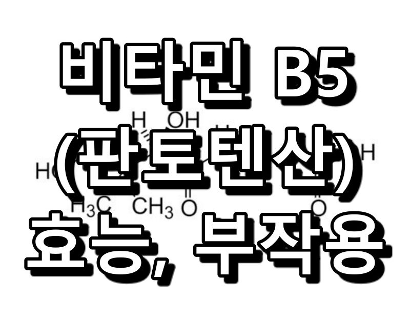 비타민 B5 판토텐산