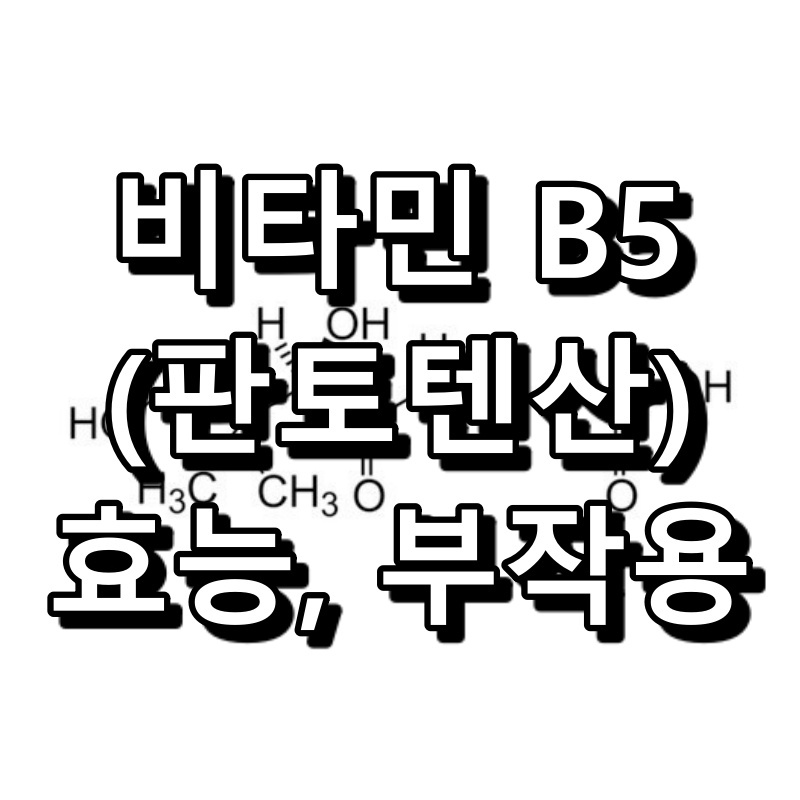 비타민 B5 판토텐산