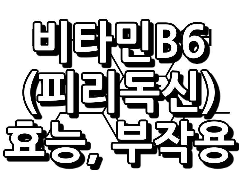 비타민 B6 피리독신 섬네일