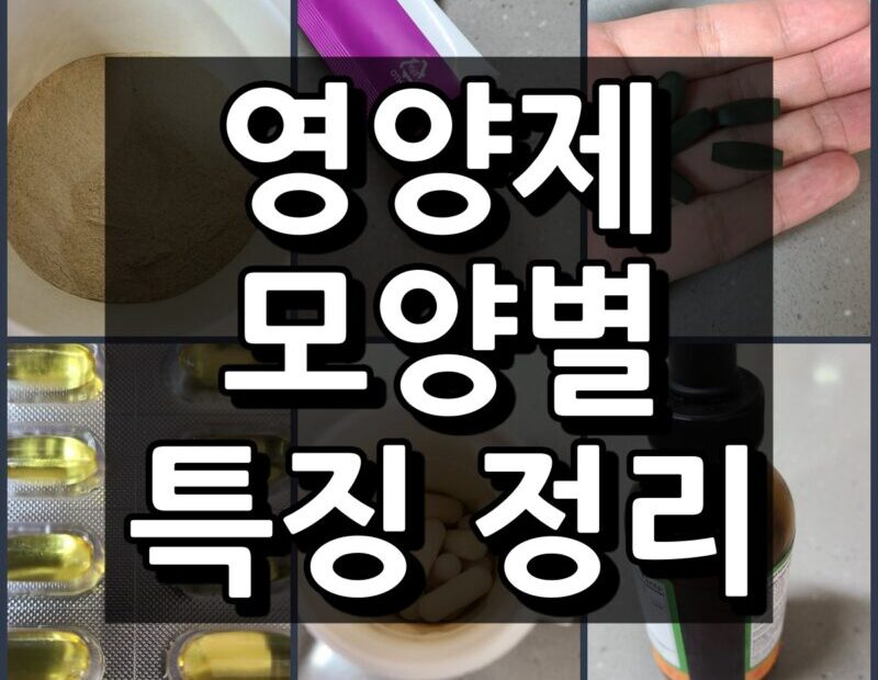 영양제 영양별 특징정리