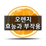 오렌지 효능과 부작용