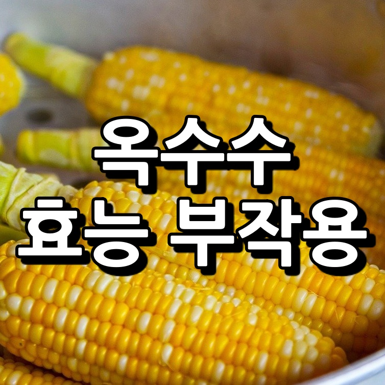 옥수수 효능 섬네일