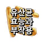 유산균 효능 섬네일