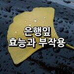 은행잎 효능 부작용