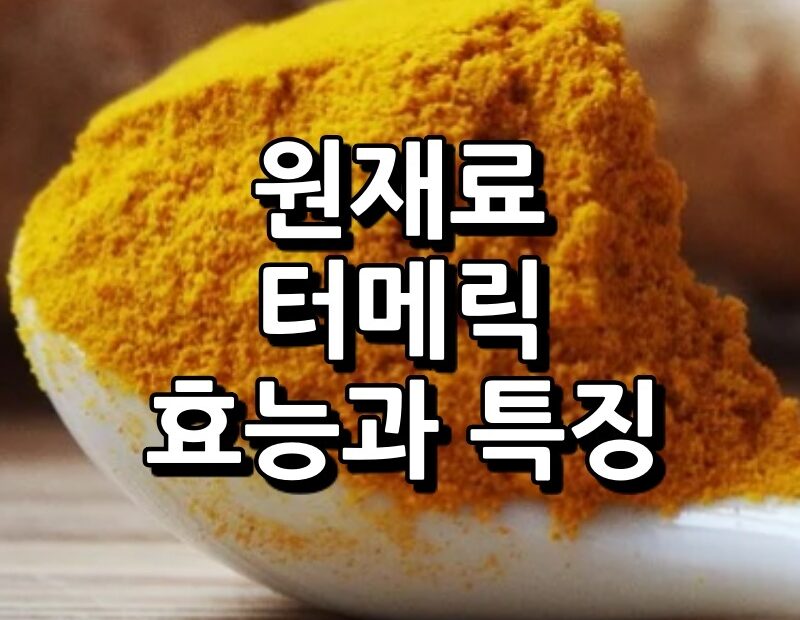 터메릭 커큐민 효능 부작용