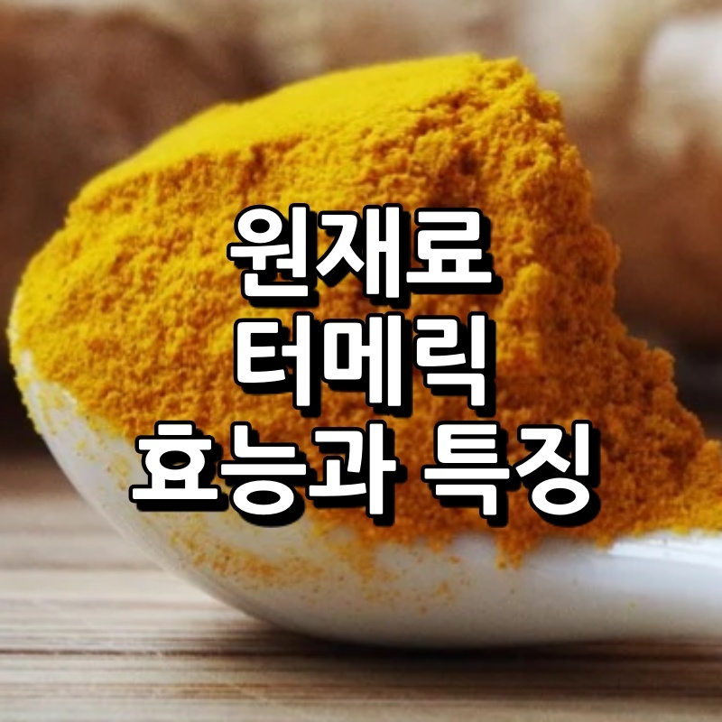 터메릭 커큐민 효능 부작용