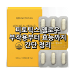 피토틱스 옐로우 섬네일