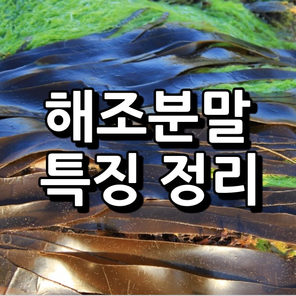 해조분말 섬네일