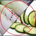 무와 오이 섬네일