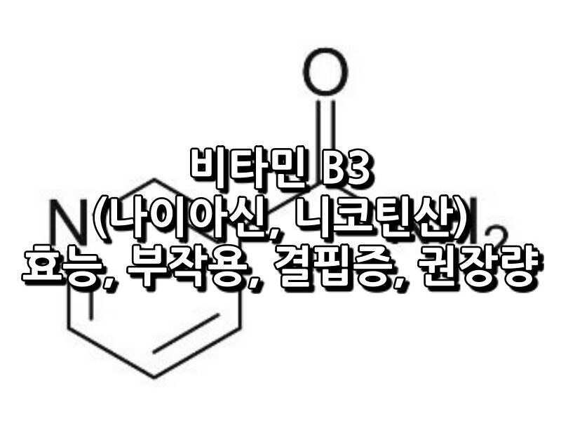 비타민 B3 섬네일