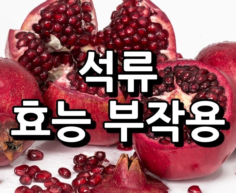 석류 효능 부작용