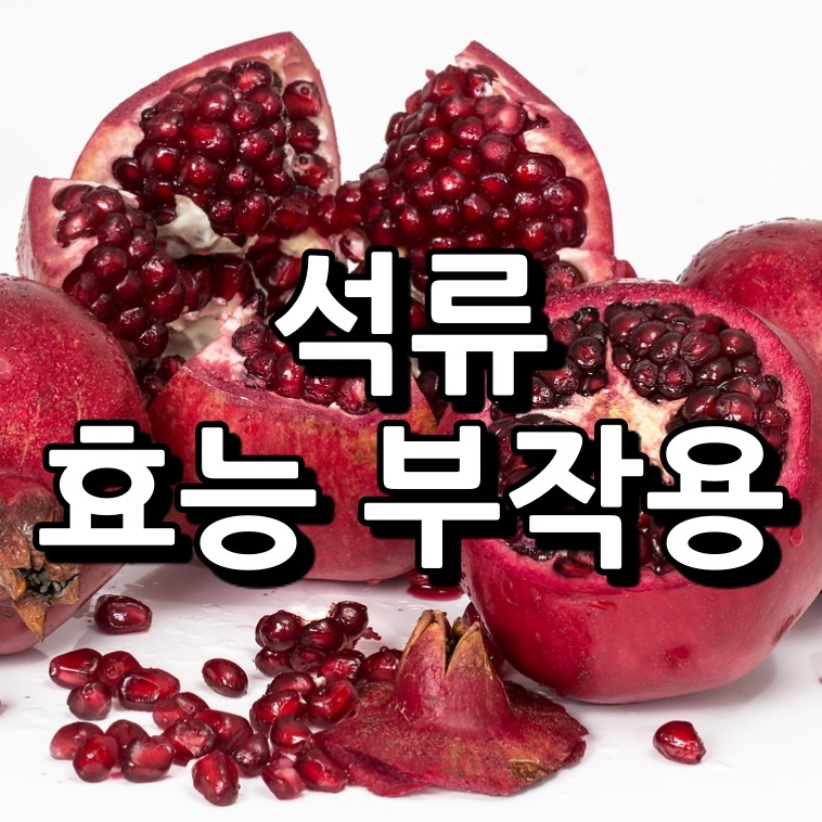 석류 효능 부작용