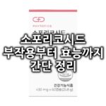 소포리코시드 섬네일