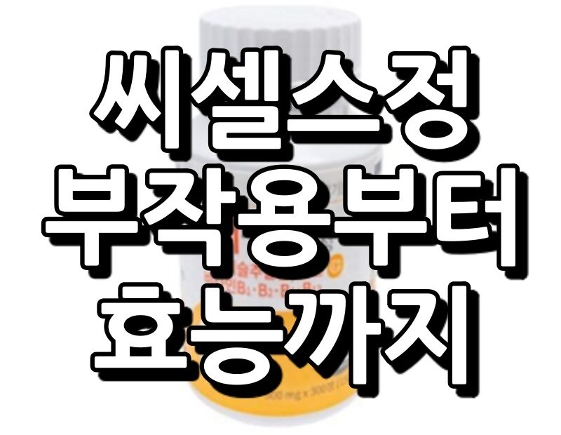 씨셀스정 섬네일