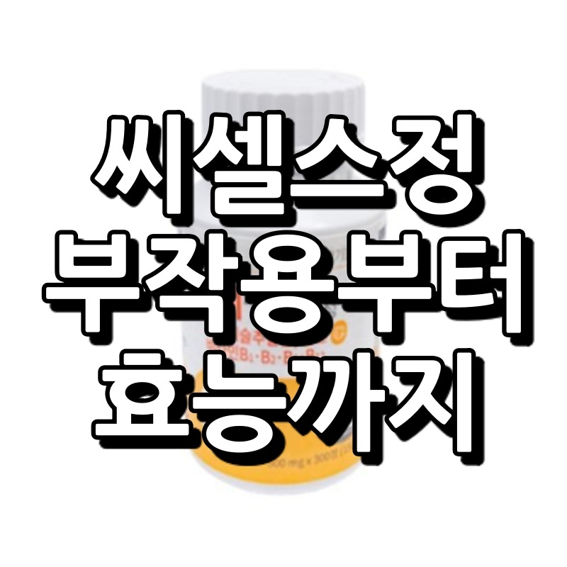 씨셀스정 섬네일