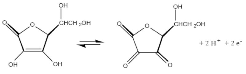 아스코르비나아제의 작용