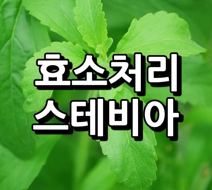 효소처리스테비아 섬네일