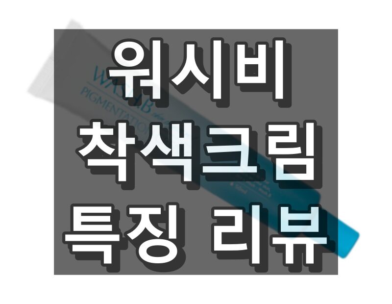 워시비 착색크림 특징 리뷰