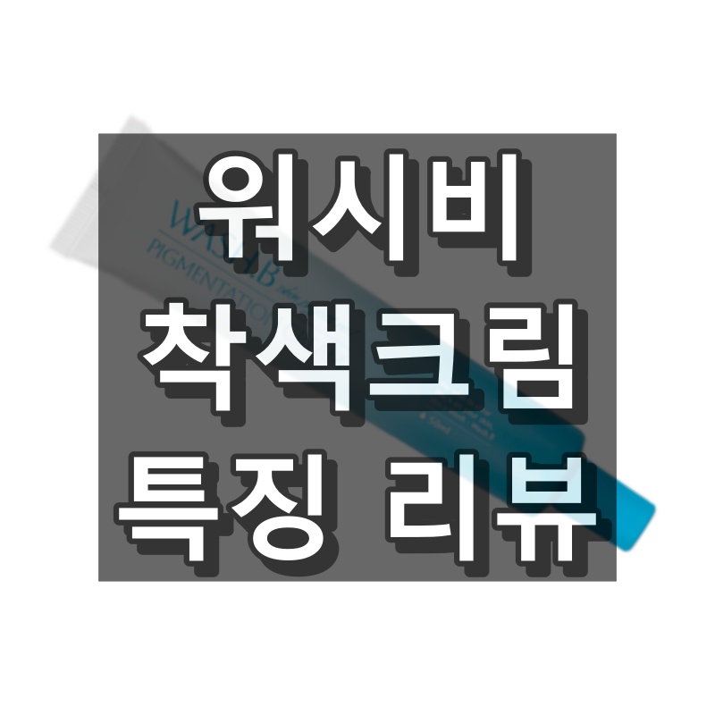 워시비 착색크림 특징 리뷰