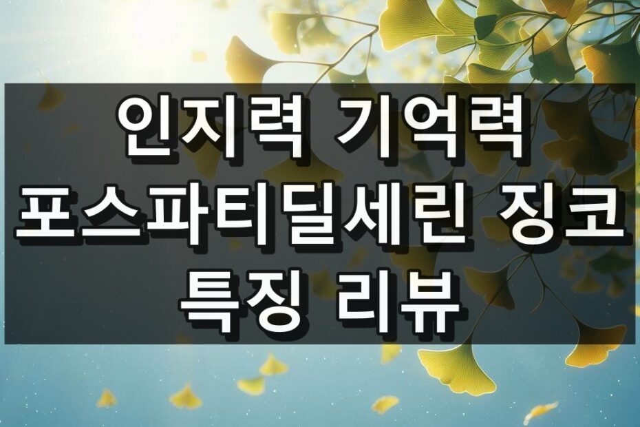 인지력 기억력 포스파티딜세린 징코 대표 이미지