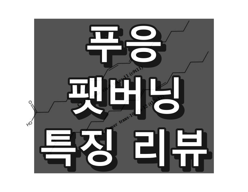 푸응 팻버닝 대표 이미지