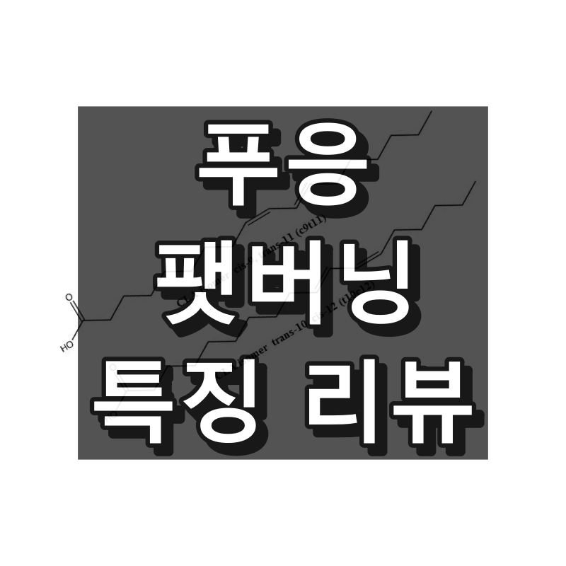 푸응 팻버닝 대표 이미지