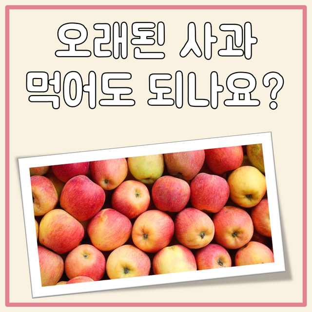 오래된 사과 대표 이미지
