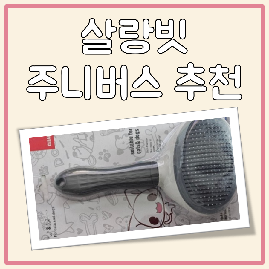 살랑빗 주니버스 대표 이미지